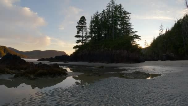 太平洋沿岸の砂浜ビュー サンセット スカイ サンヨゼフ湾 ケープスコット州立公園 北バンクーバー島 カナダ カナダの自然背景 シネマティック4K — ストック動画