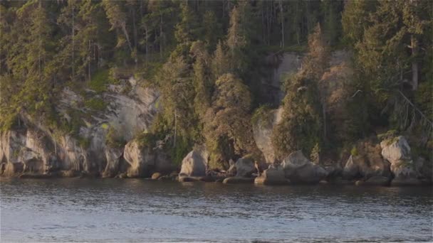 Paesaggio Naturale Canadese Sulla Costa Occidentale Dell Oceano Pacifico Stagione — Video Stock