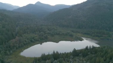 Dağ manzarasının etrafındaki ormandaki göl ve yeşil ağaçların havadan görünüşü. Kanada doğası. Pacific Northwest, British Columbia, Kanada 'da çekildi..