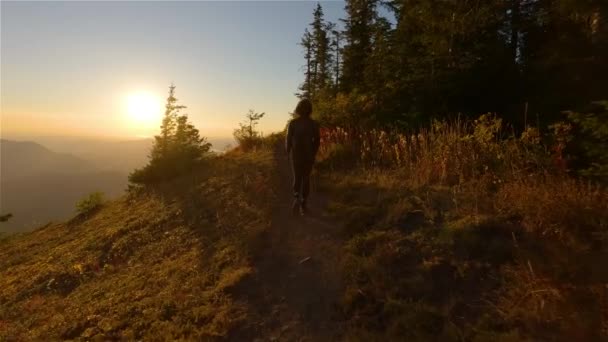 Güneşli Günbatımında Sonbahar Renkleri Ile Kanada Manzarasında Maceracı Kadın Yürüyüşü — Stok video