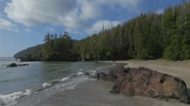 Pasifik Okyanusu Sahil Manzarası 'ndaki kumsal. Güneşli Mavi Gökyüzü. San Josef Körfezi, Scott Burnu İl Parkı, Kuzey Vancouver Adası, BC, Kanada. Kanada Doğa Arkaplanı. Sinematik 4k