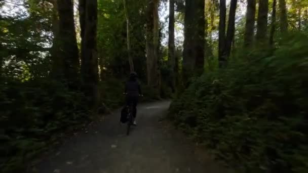 Adventure Žena Kole Cyklistické Stezce Obklopen Zelenými Stromy Letní Západ — Stock video