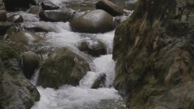 Taze su Kanada Doğa 'sında kayaların etrafından dökülüyor. Lynn Vadisi Kanyonları, Kuzey Vancouver, British Columbia, Kanada. 4k Sinema Yavaş Hareketi