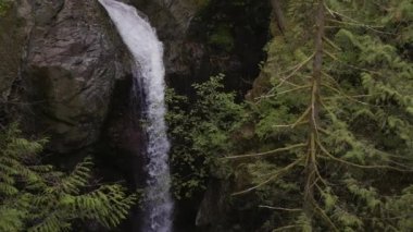 Taze su Kanada Doğa 'sında kayaların etrafından dökülüyor. Lynn Vadisi Kanyonları, Kuzey Vancouver, British Columbia, Kanada. 4k Sinema Yavaş Hareketi