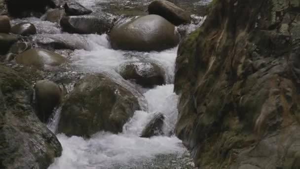 水が流れる淡水は カナダ自然界の岩の周りに落ちます バレー キャニオン ノースバンクーバー ブリティッシュ コロンビア州 カナダ 4Kシネマティックスローモーション — ストック動画