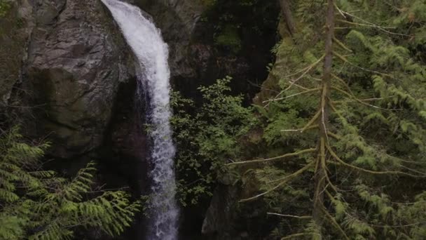 캐나다 자연에서는 흐르는 주위로 떨어집니다 밴쿠버 브리티시컬럼비아주 캐나다 슬로우 — 비디오