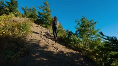 Güneşli günbatımında Sonbahar renkleriyle Kanada 'da yürüyüş yapan kadın. Elk Dağı, Chilliwack, Vancouver 'ın doğusu, British Columbia, Kanada. Doğa Arkaplanı.