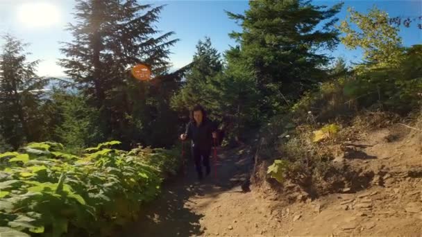 Güneşli Günbatımında Sonbahar Renkleriyle Kanada Yürüyüş Yapan Kadın Elk Dağı — Stok video