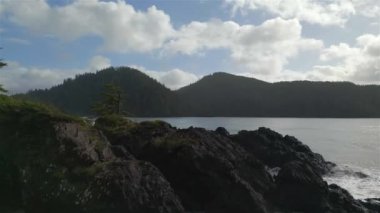 Pasifik Okyanusu Sahil Manzarası 'ndaki kumsal. Güneşli Mavi Gökyüzü. San Josef Körfezi, Scott Burnu İl Parkı, Kuzey Vancouver Adası, BC, Kanada. Kanada Doğa Arkaplanı. Sinematik 4k