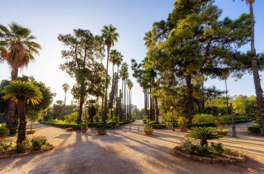 Path with vibrant green trees in city park, Villa Giulia. Palermo, Sicily, Italy. clipart