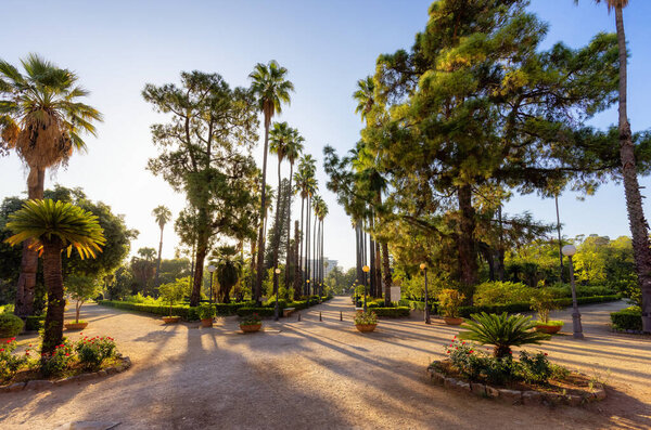 Path with vibrant green trees in city park, Villa Giulia. Palermo, Sicily, Italy.