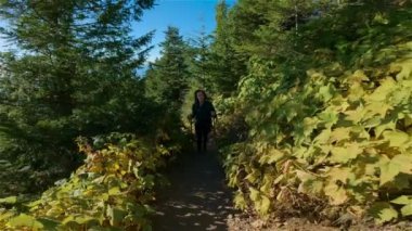 Güneşli günbatımında Sonbahar renkleriyle Kanada 'da yürüyüş yapan kadın. Elk Dağı, Chilliwack, Vancouver 'ın doğusu, British Columbia, Kanada. Doğa Arkaplanı.
