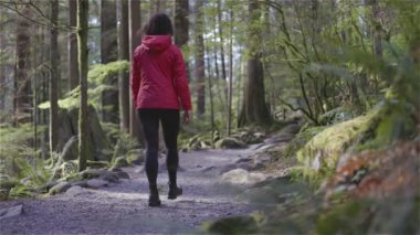 Lynn Canyon Parkı, Kuzey Vancouver, British Columbia, Kanada 'da kadın yürüyüşçü. Yağmur Ormanları 'nda Tahta Yürüyüş Yolu. Sunny Fall sezonu. Macera Yolculuğu. Yavaş Hareket