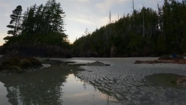 太平洋海岸景观上的沙滩 夕阳西下加拿大不列颠哥伦比亚省温哥华岛北部斯科特角省级公园圣约瑟夫湾 加拿大自然背景 电影4K — 图库视频影像