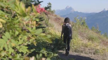 Güneşli bir akşamda Kanada 'da Sonbahar Renkleri ile Maceracı Kadın Yürüyüşü. Elk Dağı, Chilliwack, Vancouver 'ın doğusu, British Columbia, Kanada. Macera Yolculuğu Konsepti. Yavaş Hareket