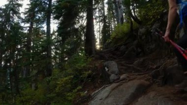 Kanada Dağ Manzarası 'nın tepesindeki yürüyüş parkurunda maceraperest bir kadın yürüyüşçü. Vancouver yakınlarındaki St. Marks Zirvesi, BC, Kanada. Yavaş Sinema Sineması