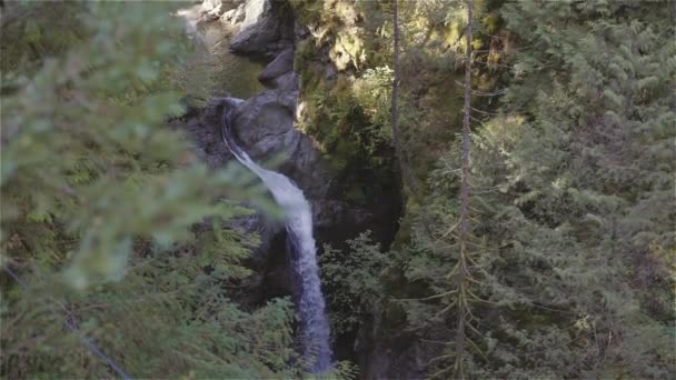 Färskvatten Rinner Ner Vattnet Faller Runt Stenar Kanadensisk Natur Lynn — Stockvideo