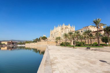 Katedral-Bazilika de Santa Maria de Mallorca, Palma, Balearic Adaları, İspanya. Güneşli Gün.