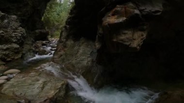 Taze su Kanada Doğa 'sında kayaların etrafından dökülüyor. Lynn Vadisi Kanyonları, Kuzey Vancouver, British Columbia, Kanada. 4k Sinema Yavaş Hareketi