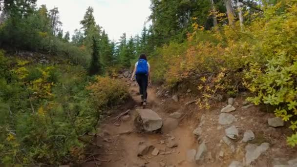 冒险的女远足者在加拿大山顶的一条远足小径上 加拿大温哥华附近的圣马可峰 慢动作电影 — 图库视频影像