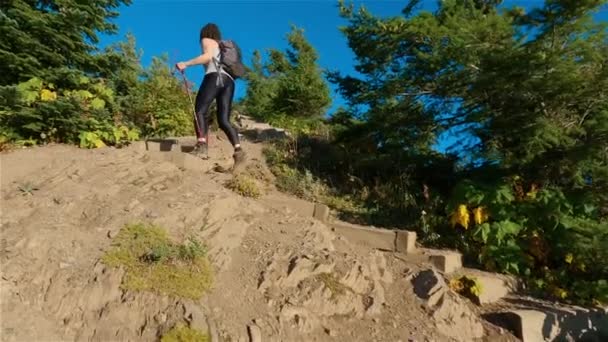 Caminhadas Mulher Paisagem Canadense Com Cores Queda Durante Pôr Sol — Vídeo de Stock