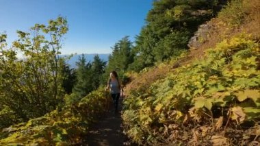 Güneşli günbatımında Sonbahar renkleriyle Kanada 'da yürüyüş yapan kadın. Elk Dağı, Chilliwack, Vancouver 'ın doğusu, British Columbia, Kanada. Doğa Arkaplanı.
