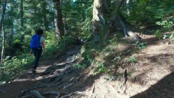 Mujer Aventurera Excursionista Una Ruta Senderismo Cima Del Paisaje Montaña — Vídeos de Stock