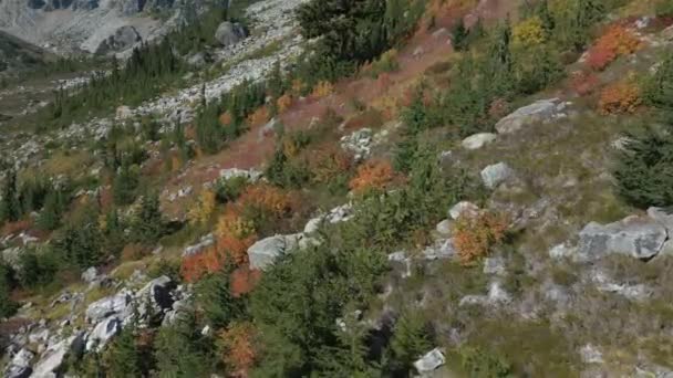 Żywe Zielone Drzewa Skały Kanadyjskim Krajobrazie Górskim Sezon Słonecznych Jesieni — Wideo stockowe