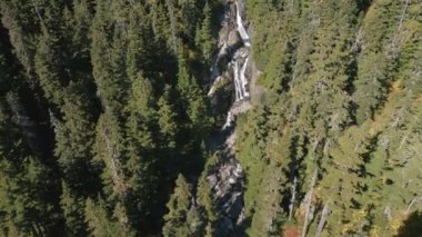 Kanada Dağ Manzarası 'nda yeşil ağaçları olan nehir ve şelale. Whistler ve Squamish yakınlarındaki Brandywine Meadows, British Columbia, Kanada. Doğa Arkaplanı. Hava Sineması