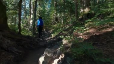 Kanada Dağ Manzarası 'nın tepesindeki yürüyüş parkurunda maceraperest bir kadın yürüyüşçü. Vancouver yakınlarındaki St. Marks Zirvesi, BC, Kanada. Yavaş Sinema Sineması