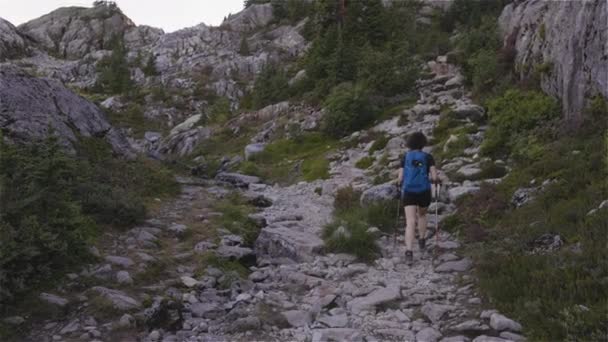 Maceracı Kadın Yürüyüşçü Kanada Dağ Manzarası Nın Tepesinde Yürüyüş Yapıyor — Stok video