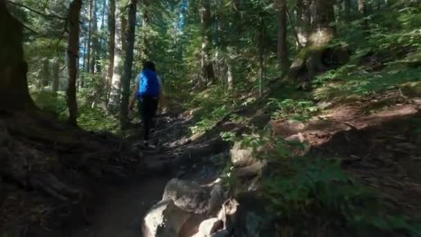 カナダの山の風景の上にあるハイキングコースで冒険的な女性ハイカー カナダのBc州バンクーバー近くのセント マークス サミット スローモーション シネマティック — ストック動画