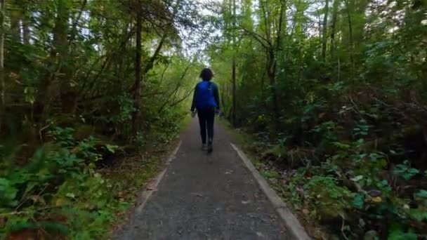 Yağmur Ormanlarında Kadın Yürüyüşü Yapan Bir Yürüyüş Patikası San Josef — Stok video