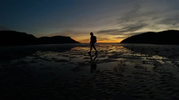 女性太平洋の砂浜を歩く海岸ビュー サンセット スカイ サンヨゼフ湾 ケープスコット州立公園 北バンクーバー島 カナダ カナダの自然背景 シネマティック4K — ストック動画