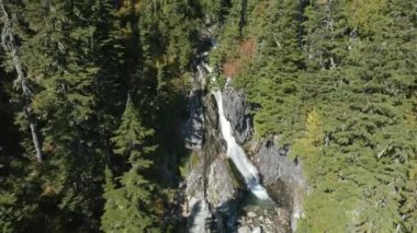 Kanada Dağ Manzarası 'nda yeşil ağaçları olan nehir ve şelale. Whistler ve Squamish yakınlarındaki Brandywine Meadows, British Columbia, Kanada. Doğa Arkaplanı. Hava Sineması