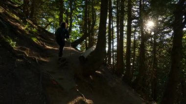 Güneşli günbatımında Sonbahar renkleriyle Kanada yağmur ormanlarında yürüyüş yapan bir kadın. Elk Dağı, Chilliwack, Vancouver 'ın doğusu, British Columbia, Kanada. Doğa Arkaplanı.