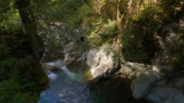 Taze su Kanada Doğa 'sında kayaların etrafından dökülüyor. Lynn Vadisi Kanyonları, Kuzey Vancouver, British Columbia, Kanada. 4k Sinema Yavaş Hareketi