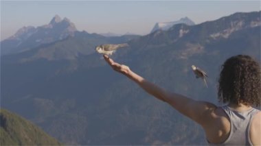 Küçük Kuşlar, Whiskey Jack, Kanada 'da Kadın Yürüyüş Eli' nde. Elk Dağı, Chilliwack, Vancouver 'ın doğusu, British Columbia, Kanada. Macera Yolculuğu Konsepti. Yavaş Hareket