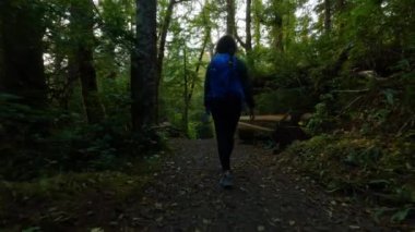 Yağmur ormanlarında kadın yürüyüşü yapan bir yürüyüş patikası. San Josef Körfezi, Scott Burnu İl Parkı, Kuzey Vancouver Adası, BC, Kanada. Kanada Doğa Arkaplanı. Sinematik 4k