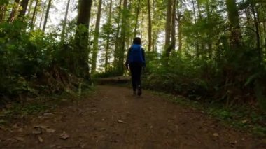 Yağmur ormanlarında kadın yürüyüşü yapan bir yürüyüş patikası. San Josef Körfezi, Scott Burnu İl Parkı, Kuzey Vancouver Adası, BC, Kanada. Kanada Doğa Arkaplanı. Sinematik 4k