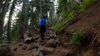 Kanada Dağ Manzarası 'nın tepesindeki yürüyüş parkurunda maceraperest bir kadın yürüyüşçü. Vancouver yakınlarındaki St. Marks Zirvesi, BC, Kanada. Yavaş Sinema Sineması
