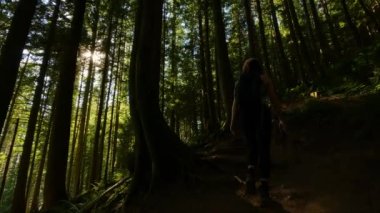 Güneşli günbatımında Sonbahar renkleriyle Kanada yağmur ormanlarında yürüyüş yapan bir kadın. Elk Dağı, Chilliwack, Vancouver 'ın doğusu, British Columbia, Kanada. Doğa Arkaplanı.
