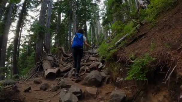 Abenteuerlustige Wanderin Auf Einem Wanderweg Gipfel Der Kanadischen Berglandschaft Marks — Stockvideo