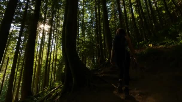 Kobieta Wędrówki Kanadyjskim Lesie Deszczowym Kolorami Jesieni Podczas Słonecznego Zachodu — Wideo stockowe