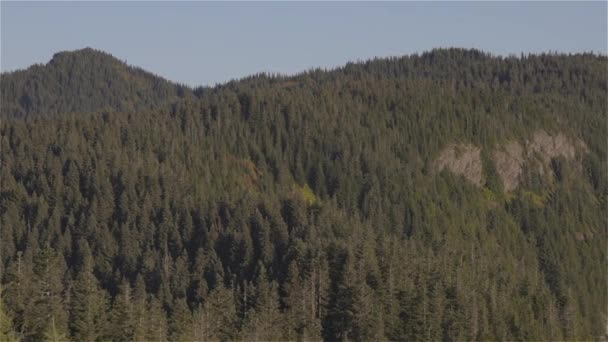 Paisaje Canadiense Durante Día Soleado Tomado Elk Mountain Chilliwack Este — Vídeo de stock