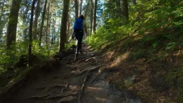 Randonneuse Aventureuse Sur Sentier Randonnée Sommet Paysage Montagneux Canadien Marks — Video