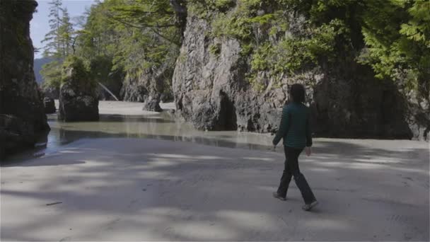 女性太平洋の砂浜を歩く海岸ビュー 晴れ空 サンヨゼフ湾 ケープスコット州立公園 北バンクーバー島 カナダ カナダの自然背景 シネマティック4K — ストック動画