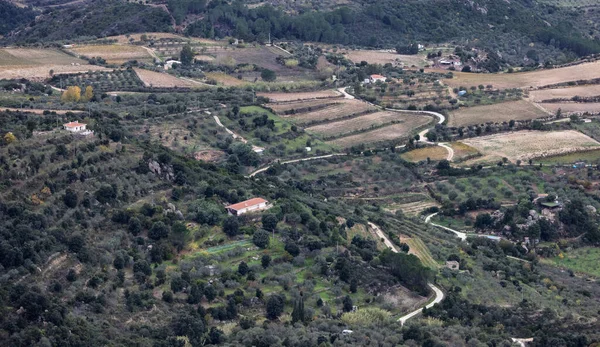 Gospodarstwa Zielone Pola Tłem Krajobrazu Górskiego Blisko Dorgali Sardynia Włochy — Zdjęcie stockowe