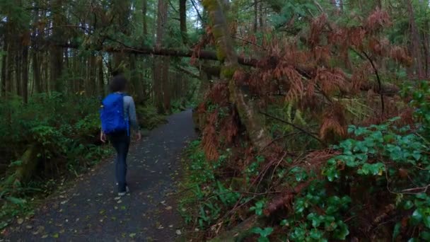 与妇女在热带雨林徒步旅行的小径 加拿大不列颠哥伦比亚省温哥华岛北部斯科特角省级公园圣约瑟夫湾 加拿大自然背景 电影4K — 图库视频影像