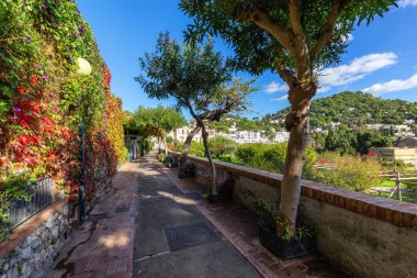 Ağaçlarla ve çiçeklerle dolu bir cennette. Napoli Körfezi, İtalya 'daki Capri Adası' ndaki Turistik Şehir.